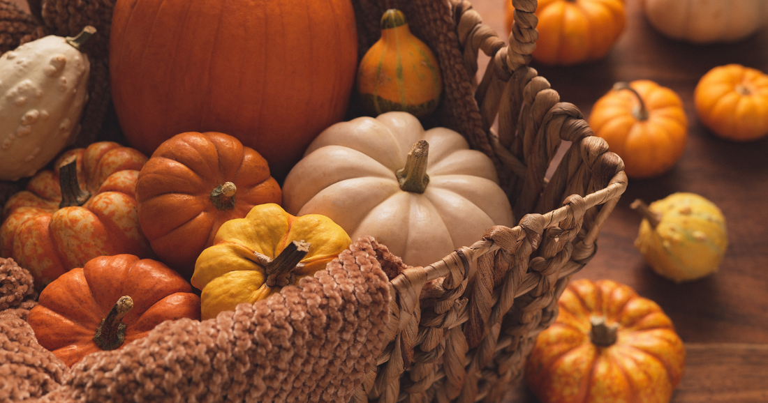 Boost Your Social Media Presence This Holiday Season with 200+ Fall Faceless Reels