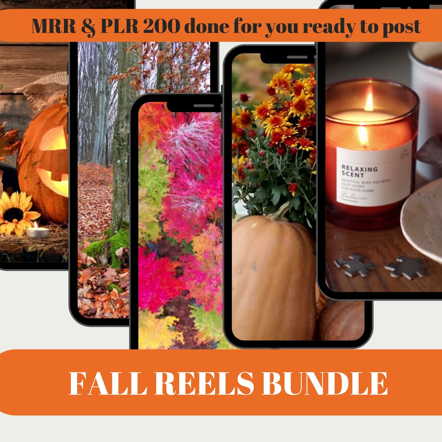 Autumn PLR Bundle Faceless Reels, Photos & Seasonal Videos for Instagram, TikTok | Master Resell Rights Included