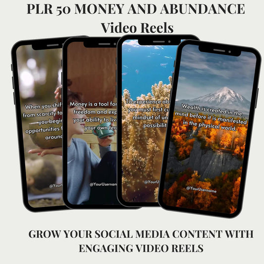 PLR 50 Self Money and Abundance Video Reels TikTok PLR | MRR Master Resell Rights, gratitude, manifest, wealth, prosperity, energy, success