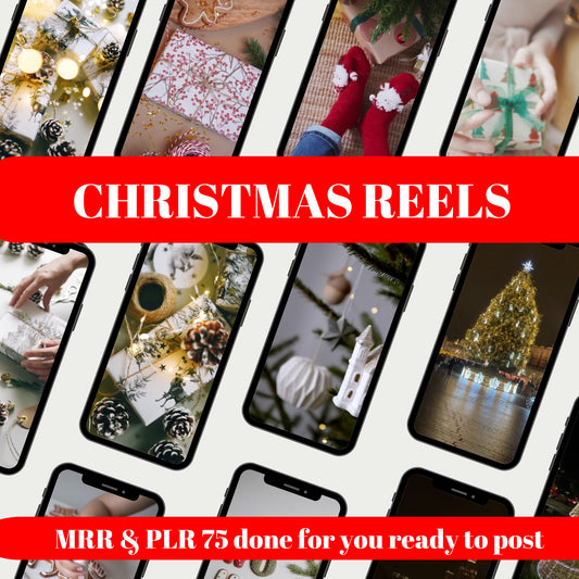 Christmas Holiday PLR Bundle, Reels, Seasonal Videos & Content for Instagram, TikTok | Master Resell Rights Included